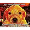 De todo un poco 17