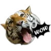Tiger 15