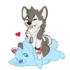 T  ny husky 21