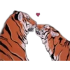 Tiger 16
