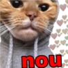 ೃ el michiss  ೃ 17