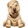Must   Dogs ‍ 2 16