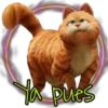 Garfield  the (Rose ♛) 18