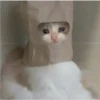Ультра грустные коты 16