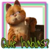 Garfield  the (Rose ♛) 19