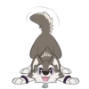 T  ny husky 23