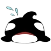 Whale 12