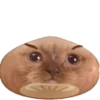 Other memes 14