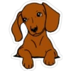 Must   Dogs ‍ 1 19