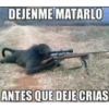 De todo un poco 19