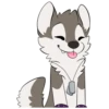 T  ny husky 25