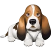 Must   Dogs ‍ 2 17