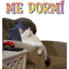 ME DORMÍ
C
