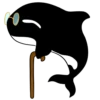 Whale 13