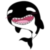 Whale 14