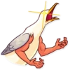 Birds 20