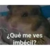 Variados  10mil 19