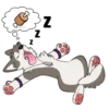 Z Z Z