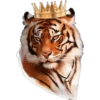 Tiger 19
