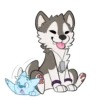 T  ny husky 27
