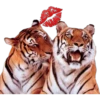 Tiger 20