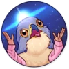 Birds 21