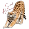 Tiger 21