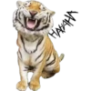 Tiger 23