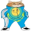 Other memes 17