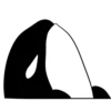 Whale 18