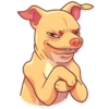 Tuna the Dog 20