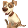 Must   Dogs ‍ 1 23