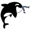 Whale 20