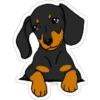 Must   Dogs ‍ 1 25