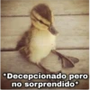 De todo un poco 25