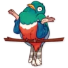 Birds 24