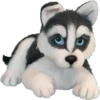 Must   Dogs ‍ 2 22