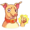 Tuna the Dog 26