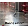 L.O
Donde estoi?