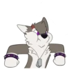 T  ny husky 30