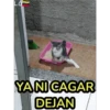 L.O
YA NI CAGAR
DEJAN