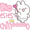 No
estes
(Ainarey)
Chino