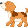 Must   Dogs ‍ 1 29