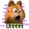 Garfield  the (Rose ♛) 27