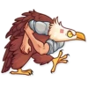 Birds 26