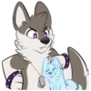 Toony husky 2 29