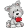 Must   Dogs ‍ 2 28