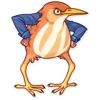 Birds 27