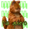 Garfield  the (Rose ♛) 30