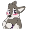 Toony husky 2 30